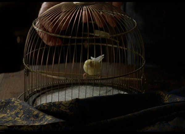 Bird from The Prestige