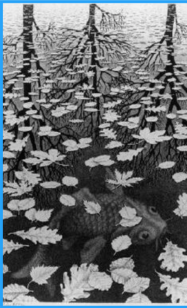 “Three Worlds“ by M. C. Escher